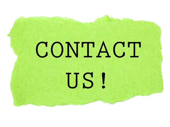 contact blackfrog digital